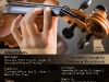 Craftsbury Chambers Flyer